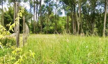 Imagem 5: Terreno para Venda em Nova Petrópolis, Juriti