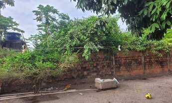 Imagem 4: Vendo uma excelente casa na av. Cafeteira. Casa bem localizada e no centro da cidade