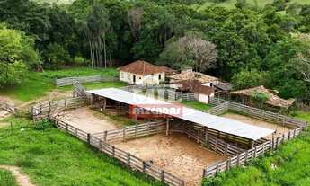 Imagem: Fazenda 360 alqueires (1.742 hectares )