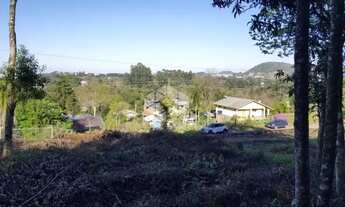 Imagem 7: Terrenos 705 m² Loteamento no Bairro Piá