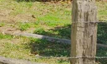 Imagem: Terreno Januári - 20 x 30