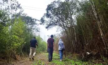 Imagem 4: Terreno 500m² em Ibiúna SP perto da represa e natureza