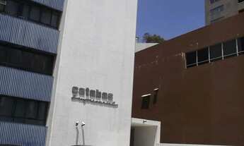 Imagem 3: Comercial para vender e alugar em rua pública, CAMINHO DAS ÁRVORES, Salvador, BA