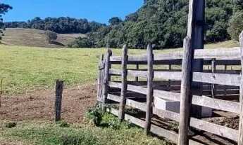 Imagem 5: SÍTIO - CENTRO - SP