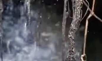 Imagem 3: CHÁCARA CAMINHO DO OURO