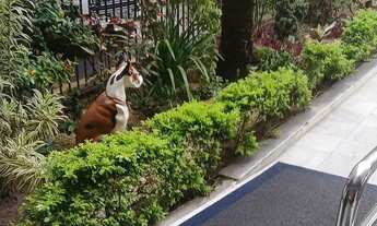 Imagem 3: Excelente apto 105m² Taquara