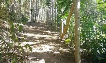 Imagem: Terreno amplo de 1700 m² em área rural