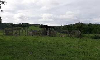 Imagem 2: Chácara em Mossâmedes 1,5 alqueire