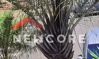 Imagem: Apartamento em Rua Atílio Capello - Loteamento