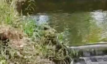 Imagem 3: Casa na roça Casa em condomínio com 2 dormitórios