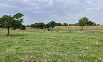 Imagem 5: Fazenda plana em Itapirapuã