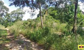 Imagem 4: Terreno para Venda em Nova Petrópolis, Pousada da Neve