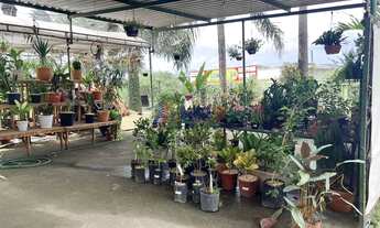 Imagem 5: Realengo Galpão / depósito com 5 vagas na garagem