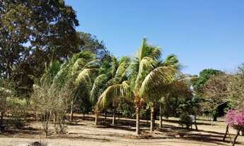 Imagem 7: FAZENDA 33 ALQ À BEIRA DO RIO CLARO - COLINAS/GO