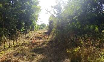 Imagem: Área com 13 hectares para sítios ou loteamentos