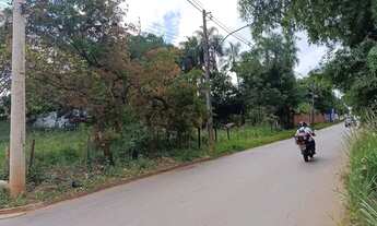 Imagem 5: Chácara Plana e bem localizada a 800 metros da GO 070