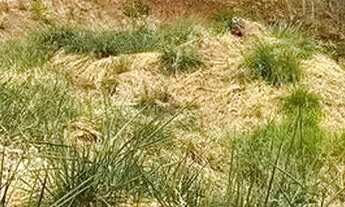 Imagem 5: Terreno à venda, Residencial Aldeia do Vale, Goiânia, GO