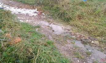 Imagem 6: Vendo dos lotes altos do Jaguarema