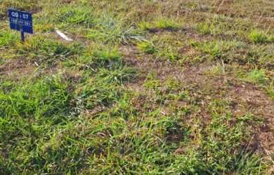 Imagem 5: Oportunidade incrível no Jardins Versalhes!