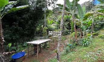 Imagem 6: Terreno à venda, 650 m² por R$ 320.000,00 - São Pedro da Serra - Nova Friburgo/RJ