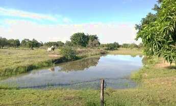 Imagem 4: Sítio de 9,6 hectares na região do município de PoconéMT