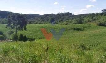 Imagem: Terreno para Chácara em Mandirituba 6.050