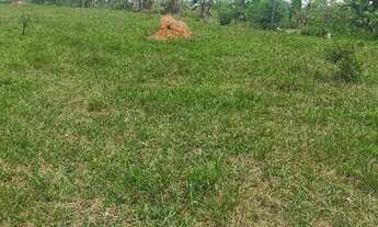 Imagem: Venda de lote