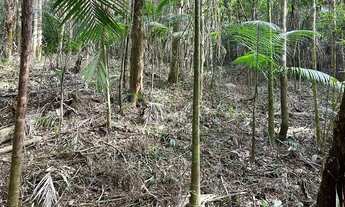 Imagem 4: Terreno com Escritura de Registro e Iptu em Juquitiba