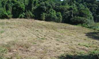 Imagem 6: Sorocaba Prox. Castelinho 6 Hectares