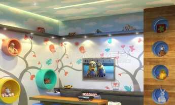 Imagem 6: APARTAMENTO - CENTRO