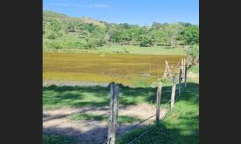 Imagem 3: Fazenda Top 133 Alqueires ITapuranga 120 mil por Alqueires