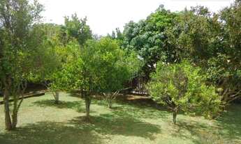 Imagem 7: Sítio / Chácara para Venda em Piracaia, Condomínio Novo Horizonte, 3 dormitórios, 1 suíte