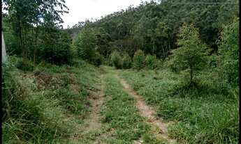 Imagem 7: CHÁCARA  SEM BENFEITORAIS -ROCINHA - GUARATINGUETÁ  SP
