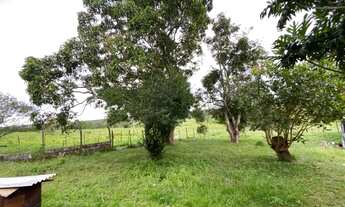 Imagem 6: Vendo sítio Fazenda / sítio com venda por R$175.000