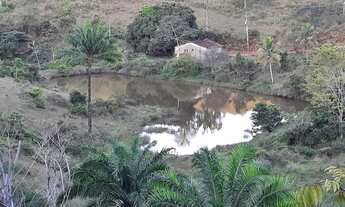 Imagem 6: Fazenda para venda possui 78 hectares ( IMPERDÍVEL/ PECHINCHA) VENDER RÁPIDO