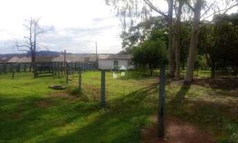 Imagem 4: Fazenda em Padre Bernardo