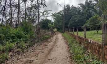 Imagem 6: Terreno Cajupari