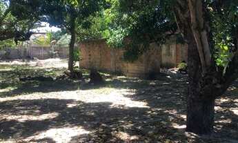 Imagem 7: Sitio no mosqueiro próximo a orla por do sol