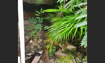 Imagem 6: SOBRADO COMERCIAL NA AV. IMIRIM