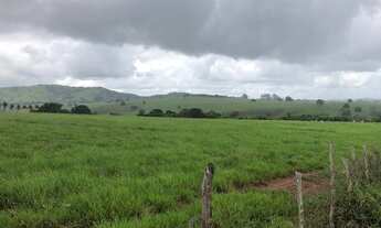 Imagem 3: VENDO FAZENDA EM T? DARCA