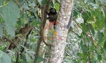 Imagem 5: NOVA LIMA - Loteamento/Condomínio - Condomínio Veredas Das Geraes