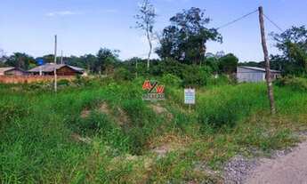 Imagem 3: Terrenos na entrada da cidade!