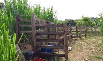 Imagem 7: Vendo Sítio na Estrada de Piacatuba/Leopoldina