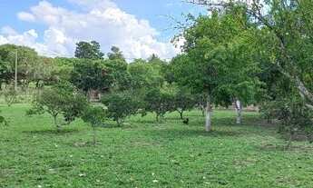 Imagem 6: Sitio a venda em Itapina