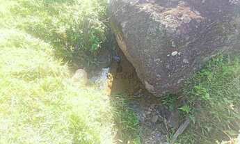 Imagem 5: Terreno para sítio em Timbó