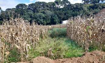 Imagem 4: Excelente Chacra com 2.500 m2 Campina taguara 250.000.00