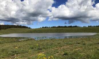 Imagem: VENDO ÁREA DE TERRA COM 41,5 HECTARES EM
