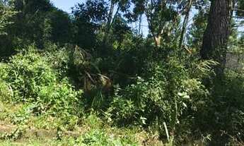 Imagem 2: Lote/Terreno para venda tem 250 metros quadrados em Sao Joao Batista III - Peruíbe - SP