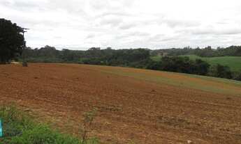 Imagem 3: TERRENO CONTENDA - TE392