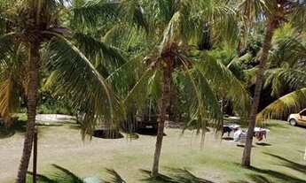 Imagem 7: Praia do Flamengo, alugo para férias e finais de semana 100 reais por dia e por pessoa